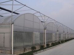 Film Greenhouse