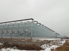 Glass Greenhouse